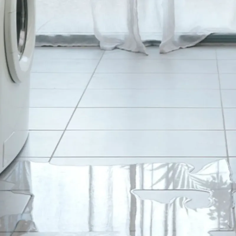 Appliance Leak Cleanup in Rockford, AL