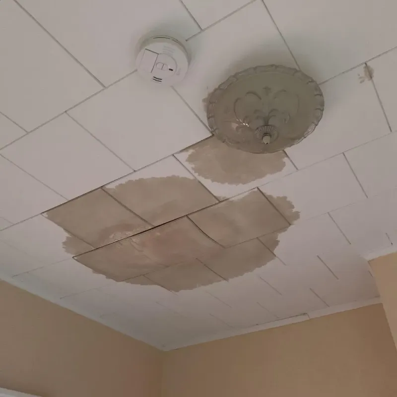 Ceiling Water Damage Repair in Rockford, AL