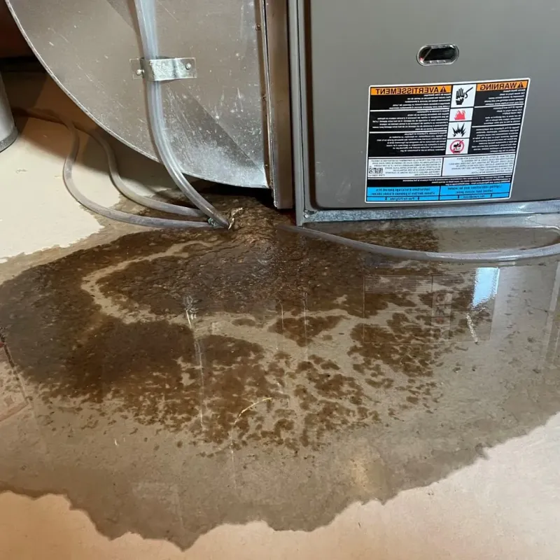 Pipe Burst and Leak Restoration in Rockford, AL