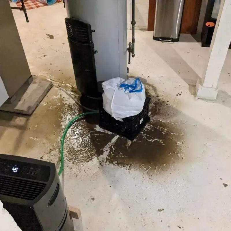 Sewage Backup Cleanup Service in Rockford, AL
